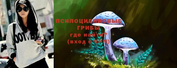 ГАЛЛЮЦИНОГЕННЫЕ ГРИБЫ Богородск