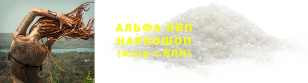 ГАЛЛЮЦИНОГЕННЫЕ ГРИБЫ Богородск