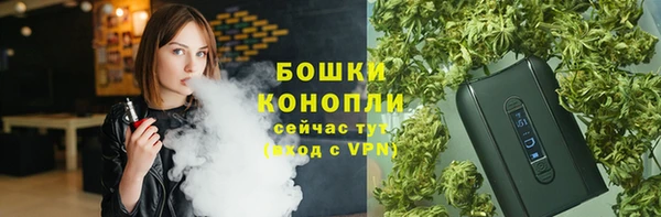 ALPHA PVP Богданович